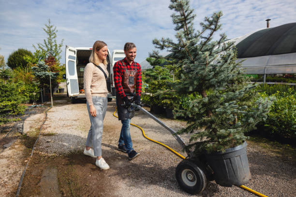 Lawn Maintenance Plans in Jacksonwald, PA